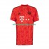 Camisola Bayern de Munique Guarda-redes Homem Equipamento Terceiro 2022-2023 Manga Curta